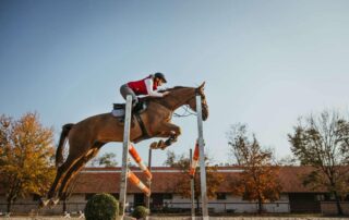 rider-position-over-fences