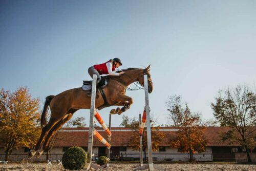 rider-position-over-fences