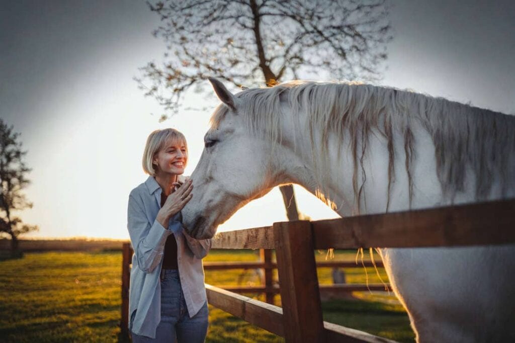 Stress Response in Horses: Physiology, Signs & Management