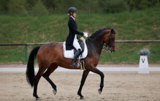 training-piaffe-and-passage-in-dressage