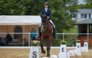 travers-vs-renvers-in-dressage