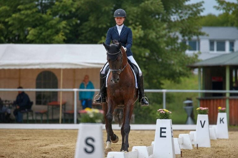 travers-vs-renvers-in-dressage