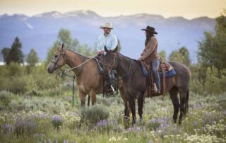 tularemia-in-horses