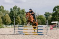 How to Warm Up Your Horse at a Show: Pre-Ring Routine & Show Day Tips