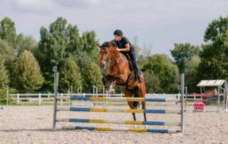warm-up-routines-for-horses
