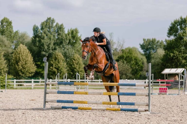 warm-up-routines-for-horses