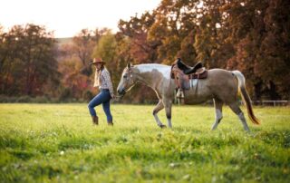 western-saddle-pads