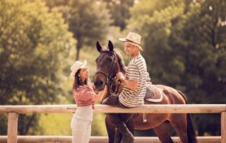 acepromazine-for-horses