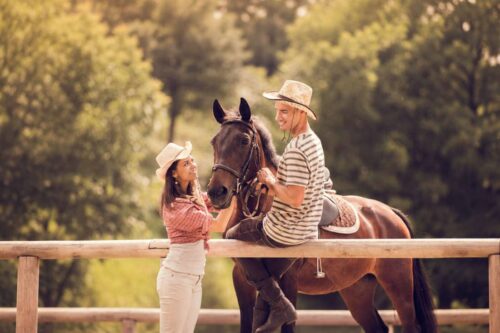 acepromazine-for-horses