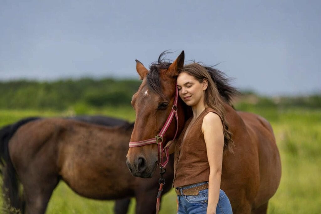 Adopting a Rescue Horse: Considerations, Costs & Adoption Steps