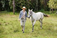 Is Ibuprofen (Advil®) Safe for Horses? Safety, Toxicity Risks & Alternatives