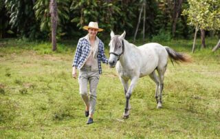 advil-poisoning-in-horses