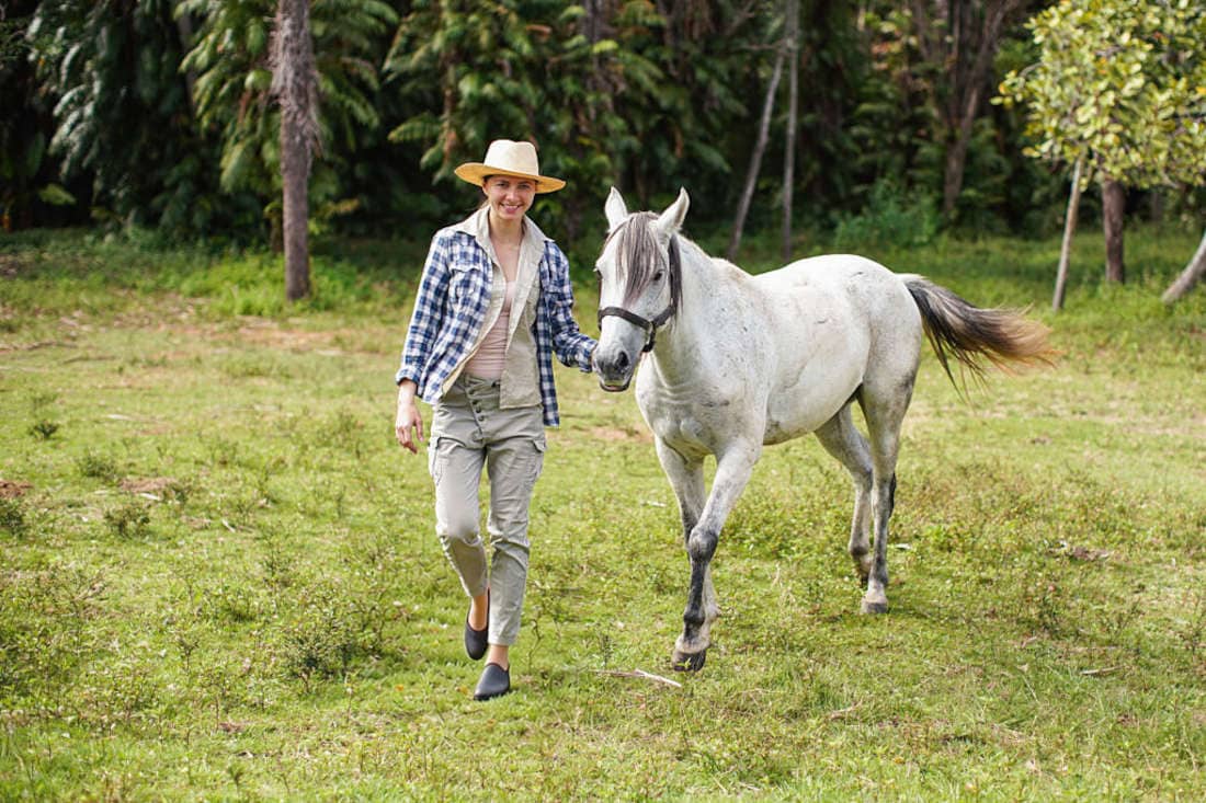 Is Ibuprofen (Advil®) Safe for Horses? Safety, Toxicity Risks & Alternatives