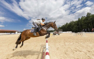 athletic-performance-in-horses
