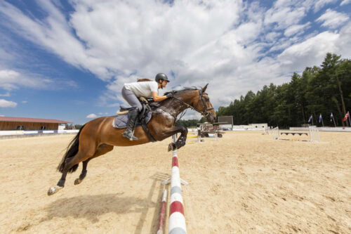 athletic-performance-in-horses