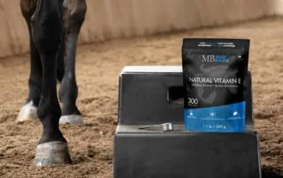 best-vitamin-e-supplement-for-horses
