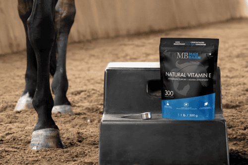 best-vitamin-e-supplement-for-horses