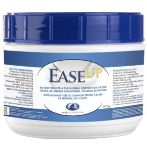Ease Up (Strictly Equine)