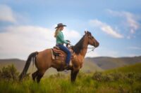 Equine Complex Vertebral Malformation (ECVM): Symptoms, Diagnosis & Management