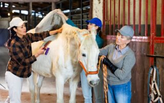 equine science and management studies