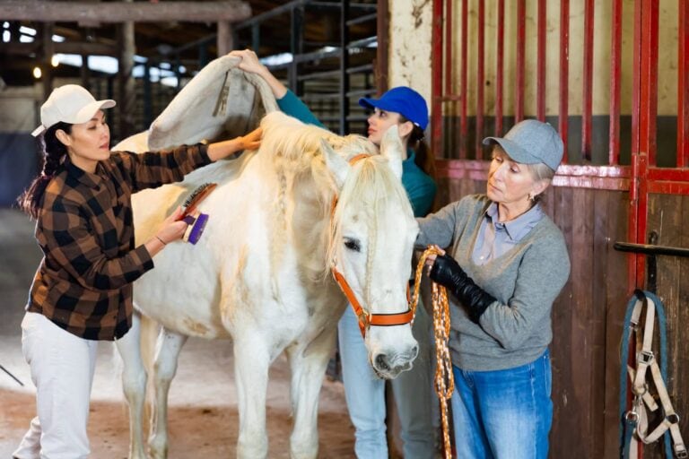 equine science and management studies