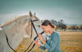 finding-the-perfect-horse