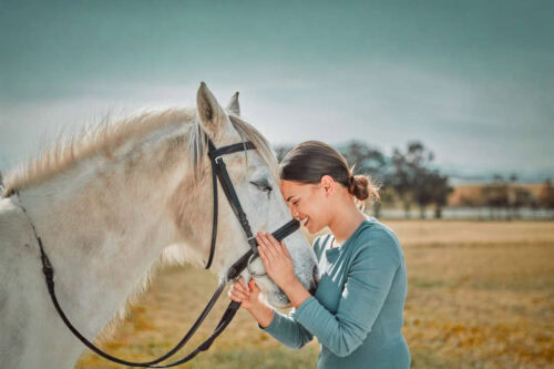 finding-the-perfect-horse