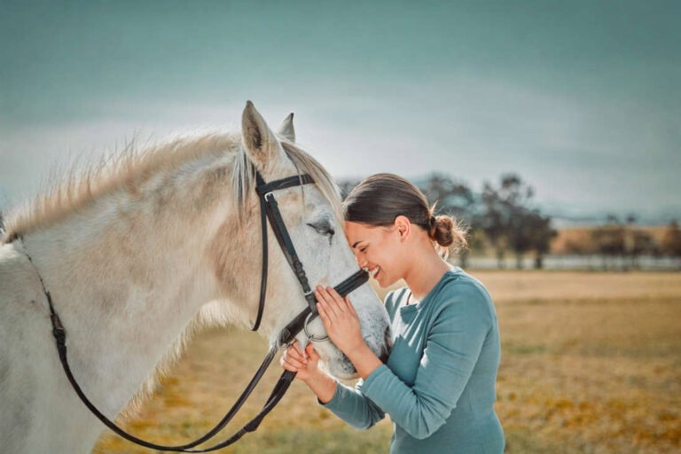 finding-the-perfect-horse