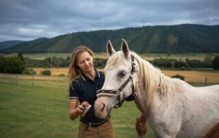 gentamicin-for-horses