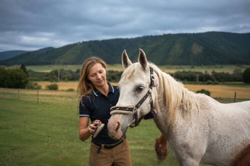 gentamicin-for-horses