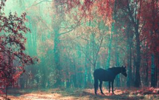 horses-in-folkore