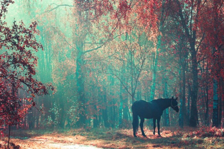 horses-in-folkore