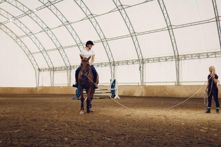how-to-become-a-horse-trainer