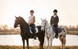 how-to-desensitize-a-spooky-horse