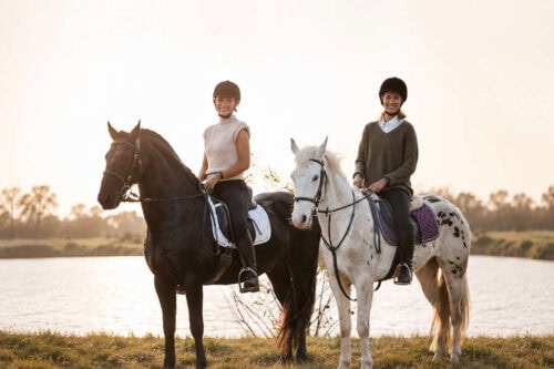 how-to-desensitize-a-spooky-horse