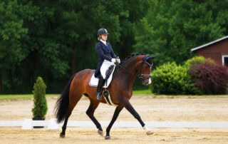 how-to-ride-extended-trot-in-dressage