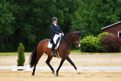 how-to-ride-extended-trot-in-dressage