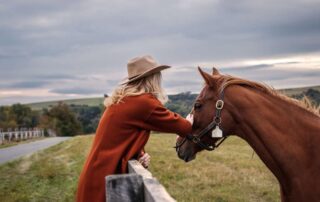 local-anesthetics-for-horses