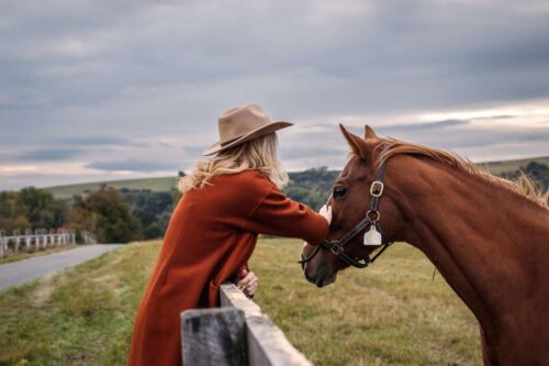 local-anesthetics-for-horses