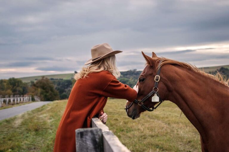 local-anesthetics-for-horses