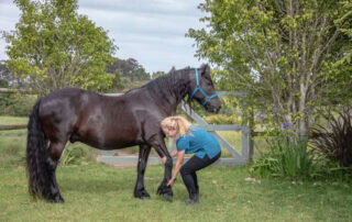 osteopathy-for-horses