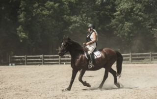 posting-trot-in-horseback-riding