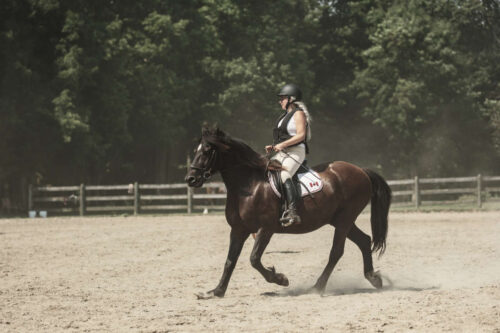 posting-trot-in-horseback-riding