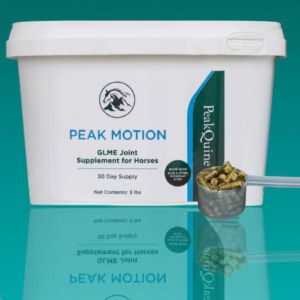 Peak Motion (PeakQuine)