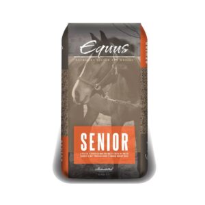 Senior (Equus)