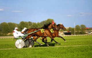 standardbred-pacers-vs-trotters