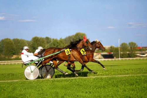 standardbred-pacers-vs-trotters