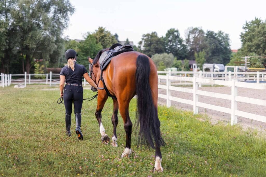 Starting Horses Under Saddle: Readiness, the First Ride & Training Tips