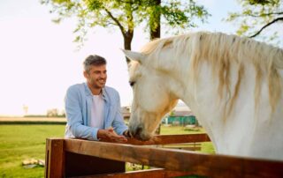 systemic-lidocaine-for-horses