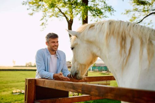 systemic-lidocaine-for-horses